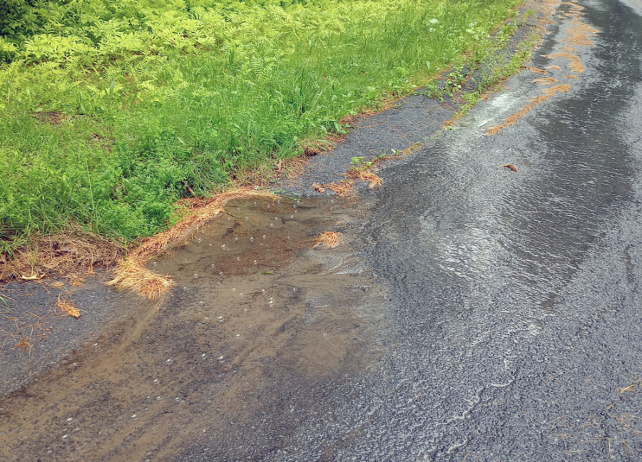 Photo of a stormwater inlet buried in sediment and pine needles as water runs over and by it.