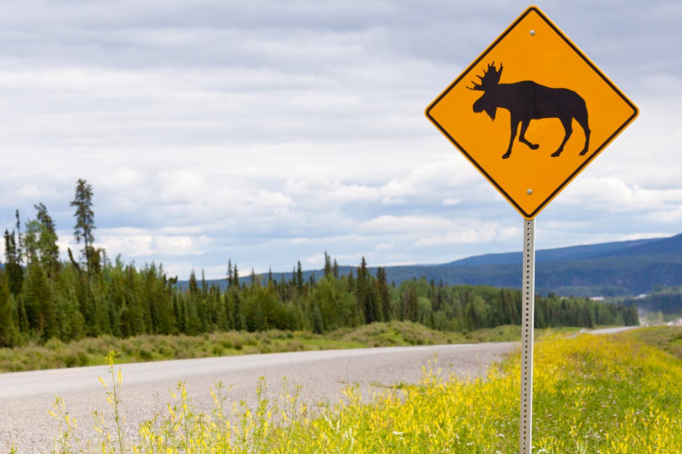 Proper Sign Installation on Rural Highways
