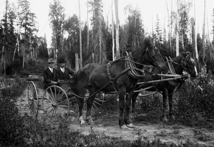 The History and Evolution of the American Roadway