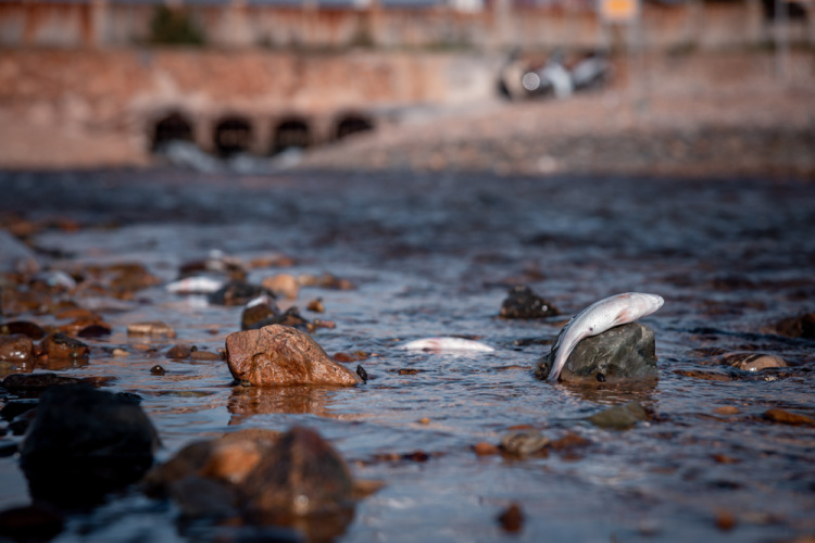 Protecting Watershed Health: A Key Responsibility of Highway Departments