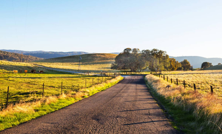 The Challenges of Maintaining Low-Traffic Rural Roads